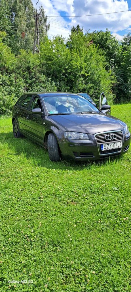 Audi A3 8P 1.9TDI