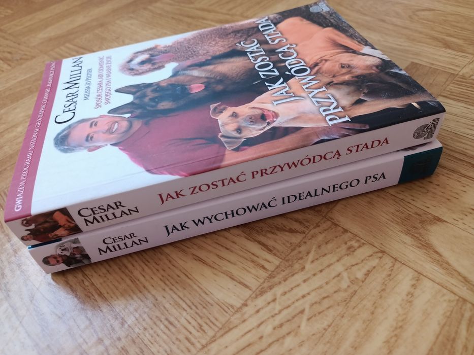 Jak zostać przywódcą stada. Jak wychować idealnego psa. Cesar Millan.