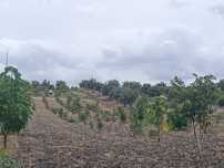 Terreno excelente para um Retiro