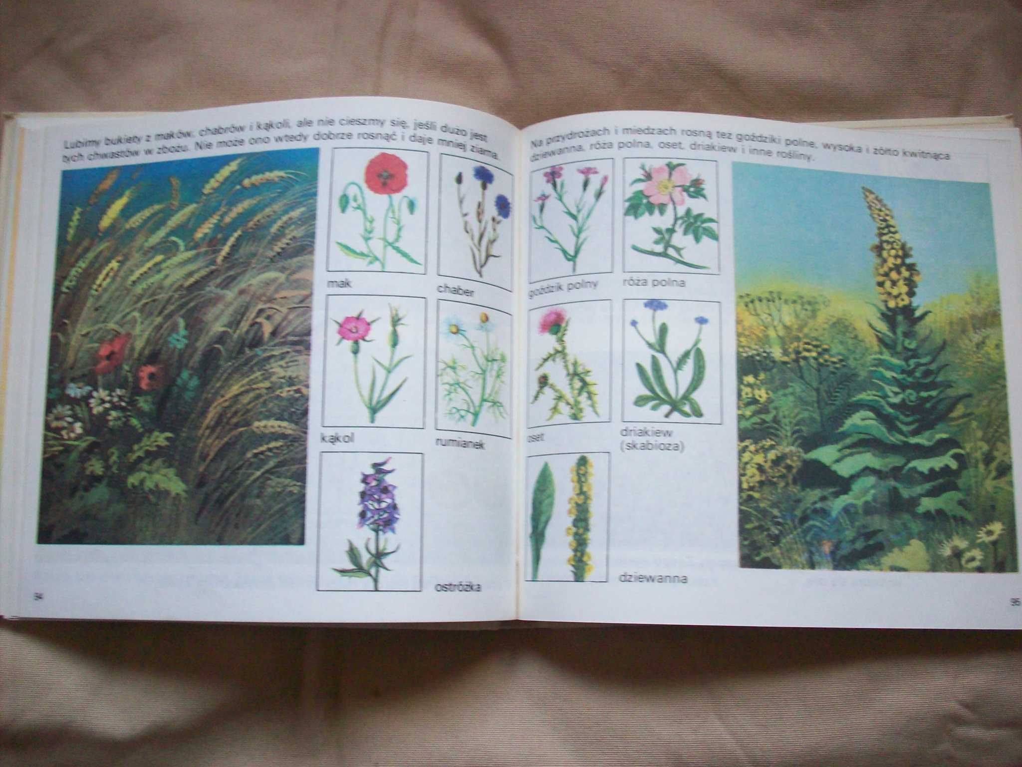 Poznaję Świat, książka dla dzieci 6-8 letnich, 1989.