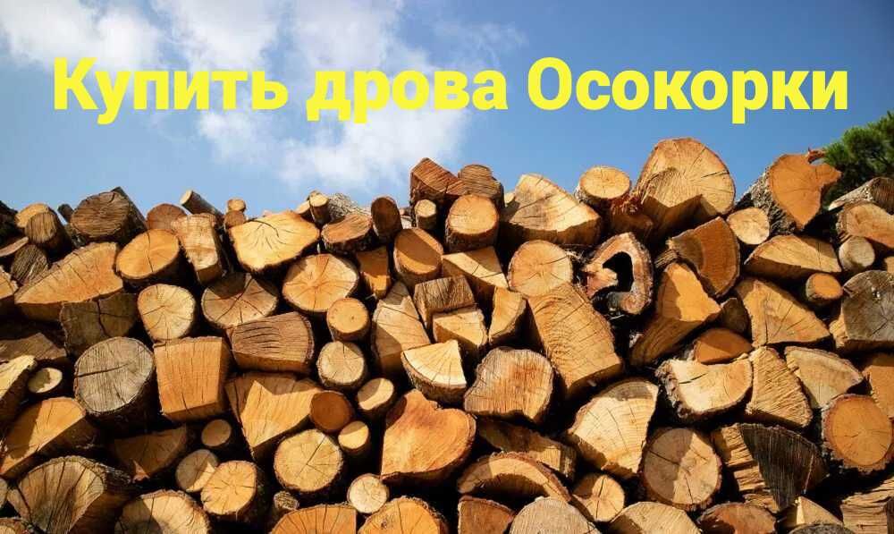 Купить дрова из дуба. Колотые и метровки. Разные породы. 12 скм