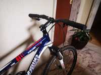 Bicicleta miwok 26