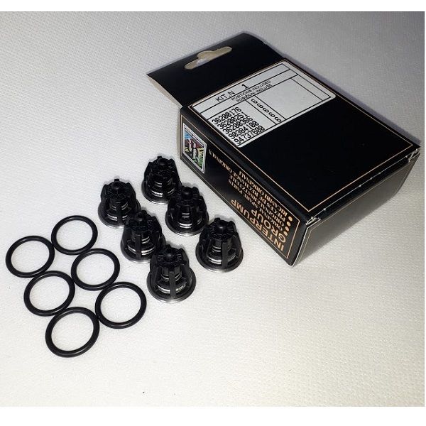 kit 1 Interpump Zestaw zaworkow ciśnieniowych do pomp WS151,ws202...