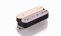 Merlin Sabotage humbucker przetwornik gitarowy neck lub bridge zebra