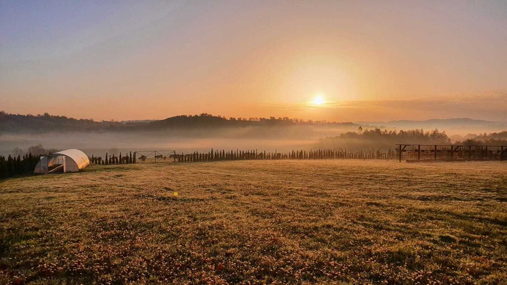 Klimatyczny domek na wynajem