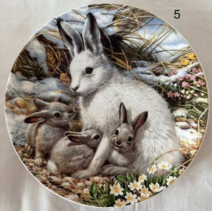 Колекція вінтажних тарілок Краса полярної дикої природи.