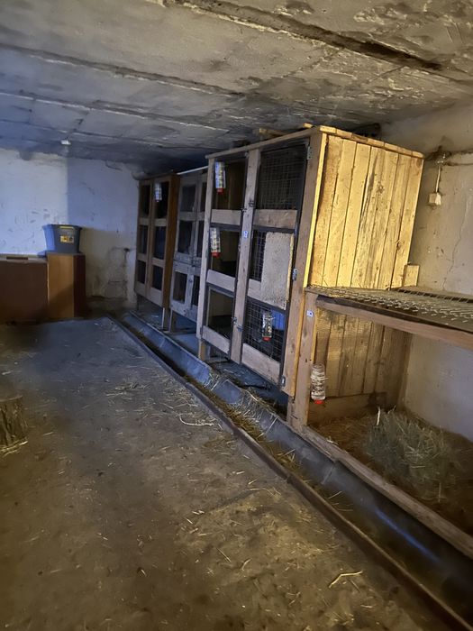 Klatki dla królików