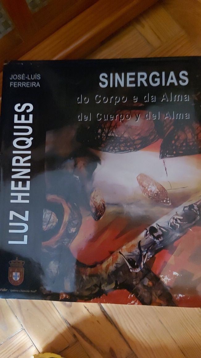 Luz Henríques Sinergias do Corpo e da Alma