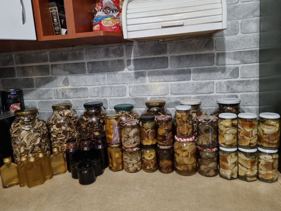 Suszone I marynowane grzyby Borowik podgrzybek maślak