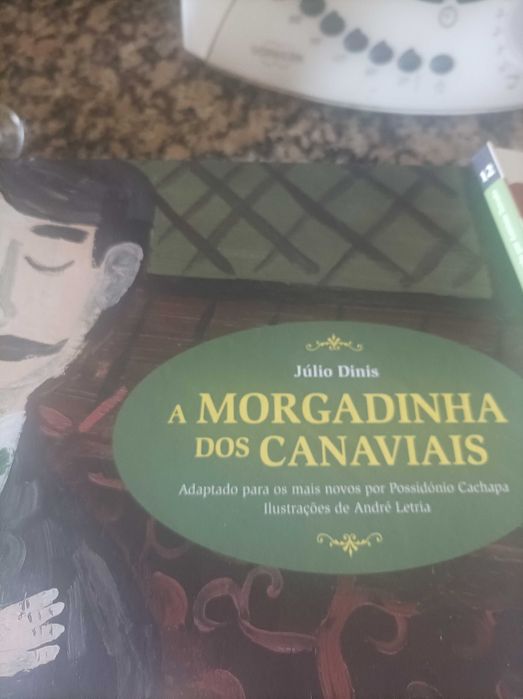 Conjunto de livros autores portugueses