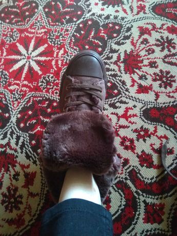 жіноча обувь зимова