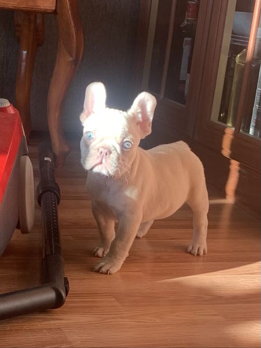 Молодий шикарний красень