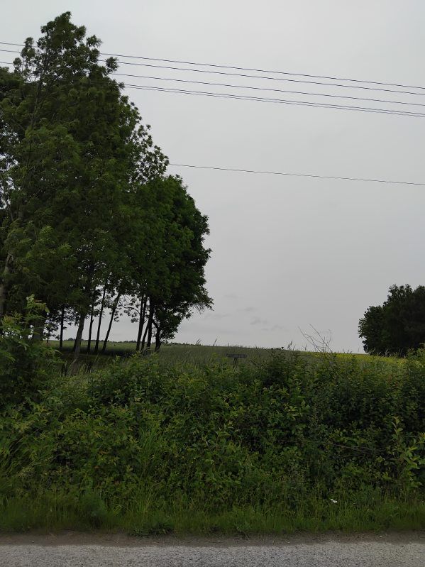 Sprzedam działkę 1,76ha Deszno gmina Nagłowice