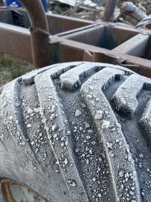 Przyczepa lesna palms 10t