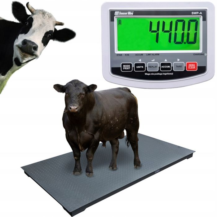 Waga inwentarzowa Do Zwierząt do 5000kg do krów świń 1,00x2,20 DOSTAWA