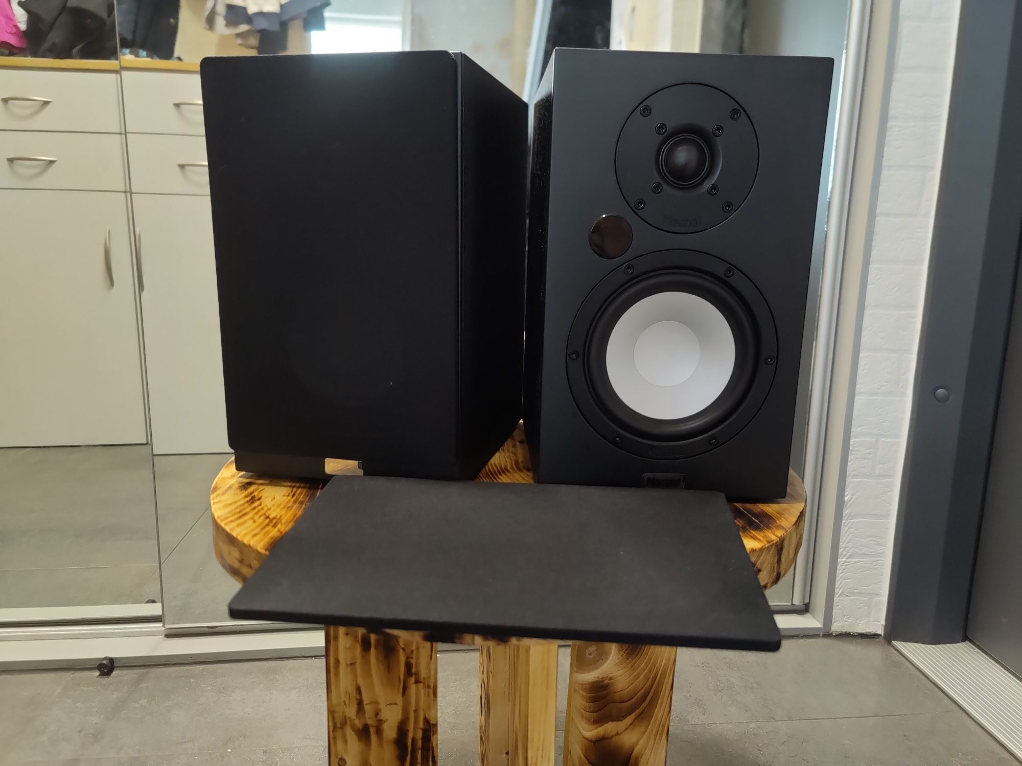 Magnat Multi Monitor 220