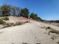 Terreno 32 000 m2 Algarve ideal Ecossistemas de Energias Renováveis