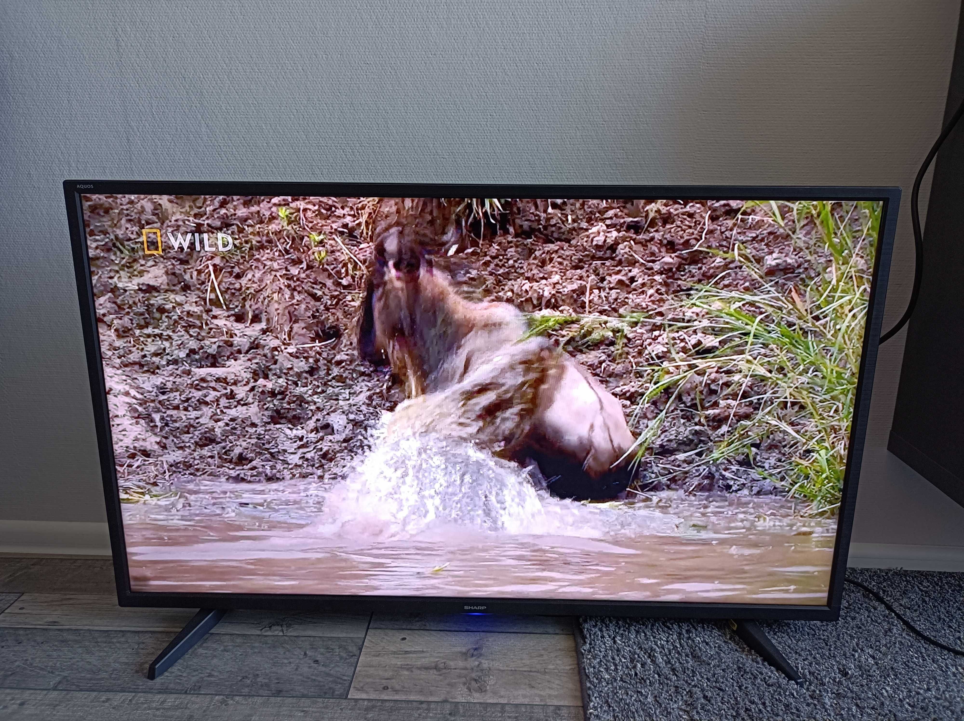 Telewizory Sharp 40