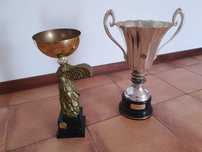 2 Taças / Troféus