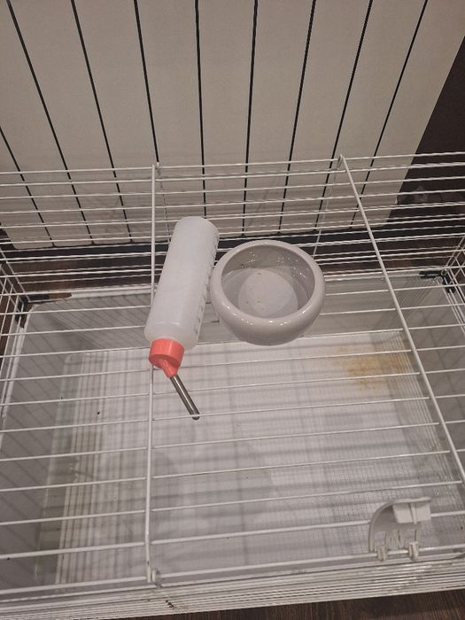 Клетка ферпласт 80