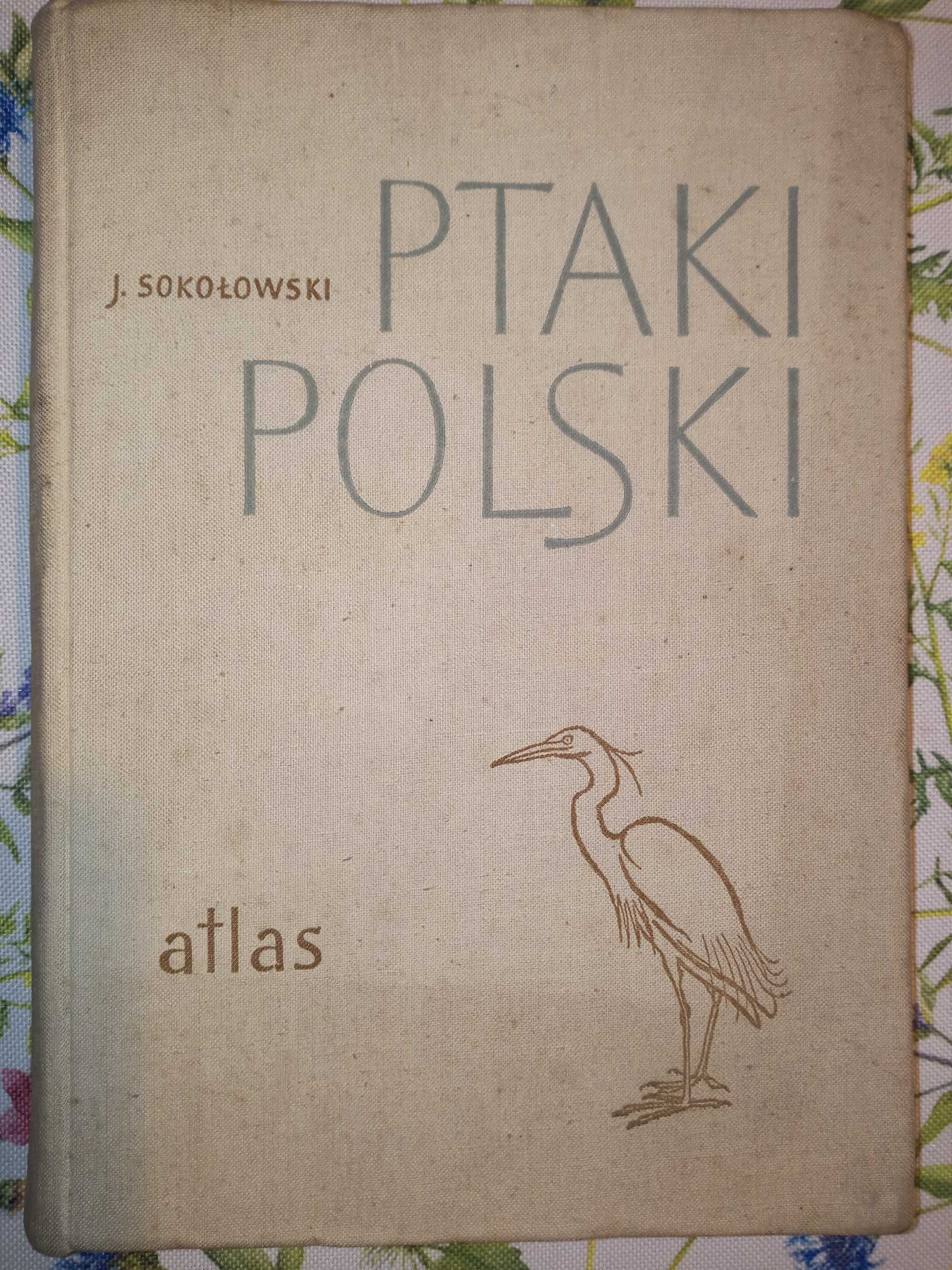 Ptaki Polski - wydanie I -pierwszy atlas w Polsce
