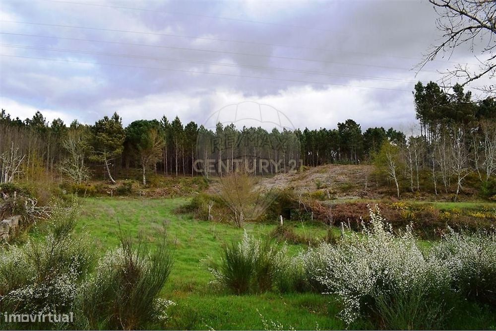 Terreno Rústico em Covas e Vila Nova de Oliveirinha, Tábua