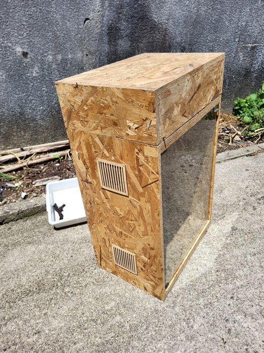 Terrário em madeira