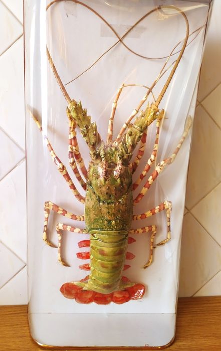 Лангуст морской рак