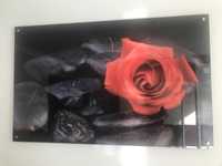 Obraz szklany -roza na czarnym tle