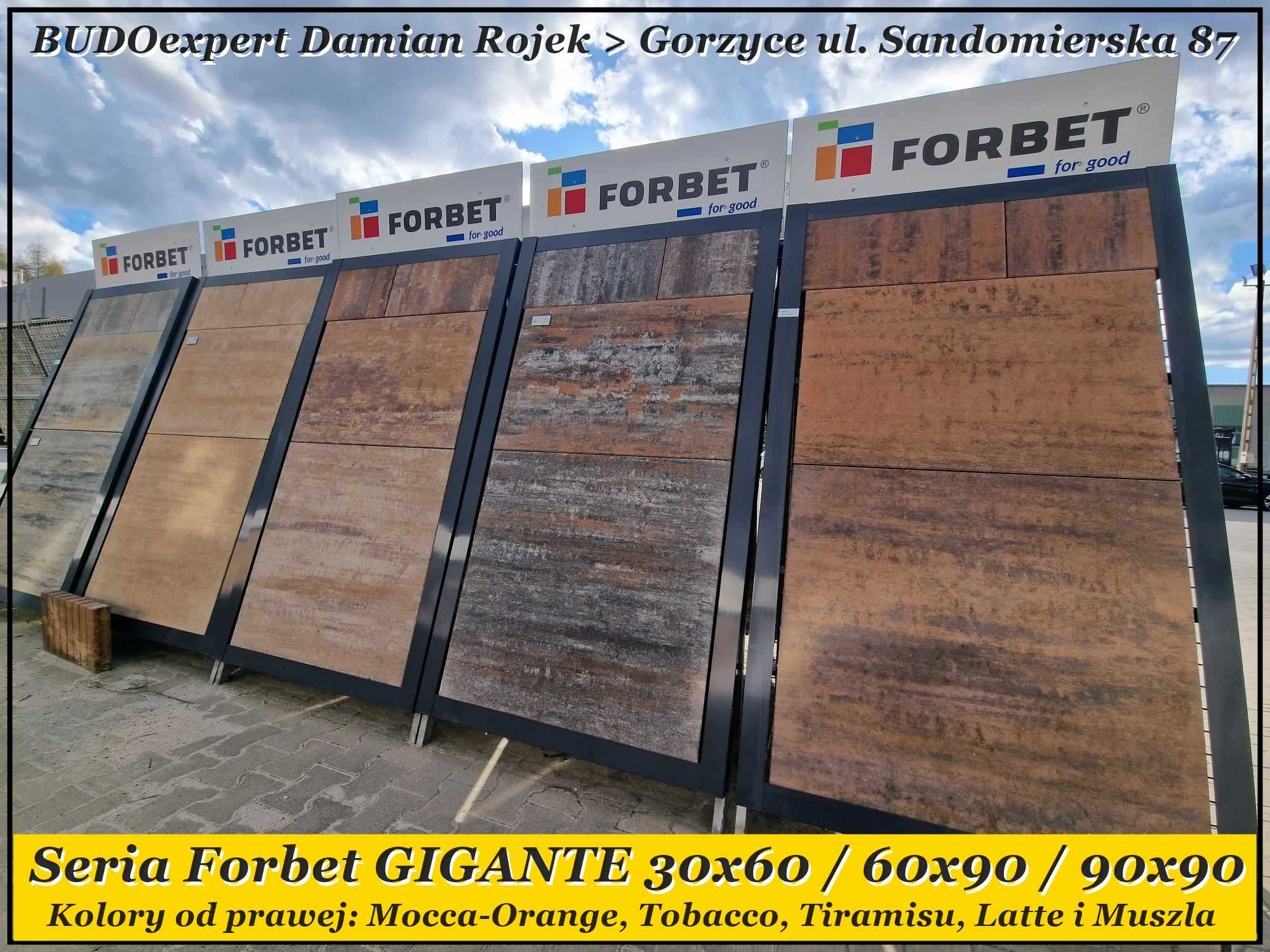 Płyta tarasowa Forbet GIGANTE PARVA 30x60 Tytan Piryt Silver Nero Bia
