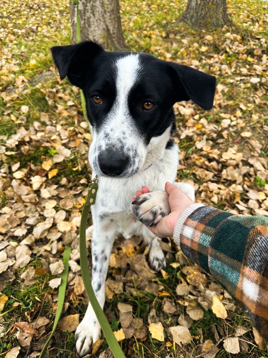 Лора шукає родину!