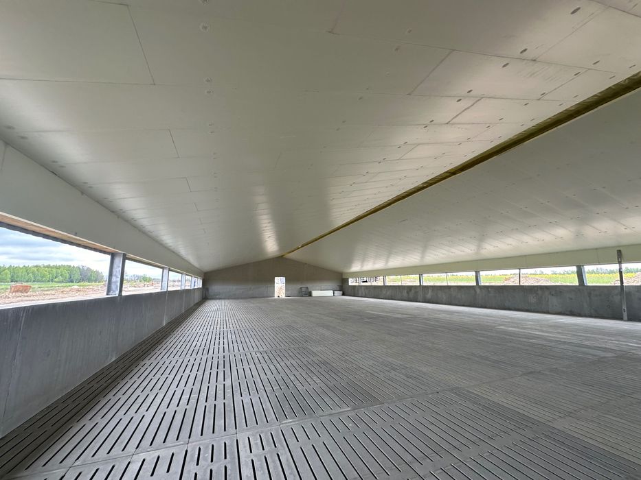 Podbitka do Chlewni, budynku inwentarskiego, hali.Płyta XPS AGRO