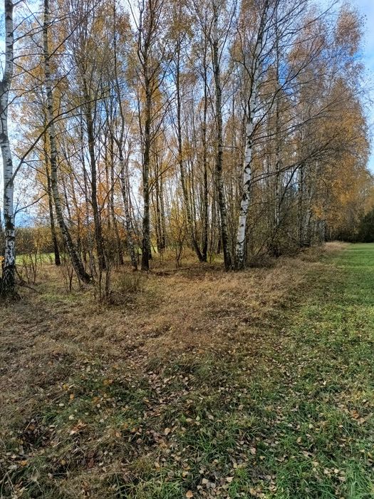 Sprzedam działkę rolną