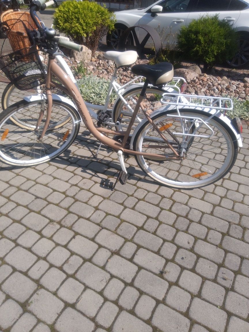 Rower damka z koszykiem