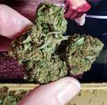 1g Godfather OG Susz Roślinny cbt cbl cbc Legalne ! Działa !