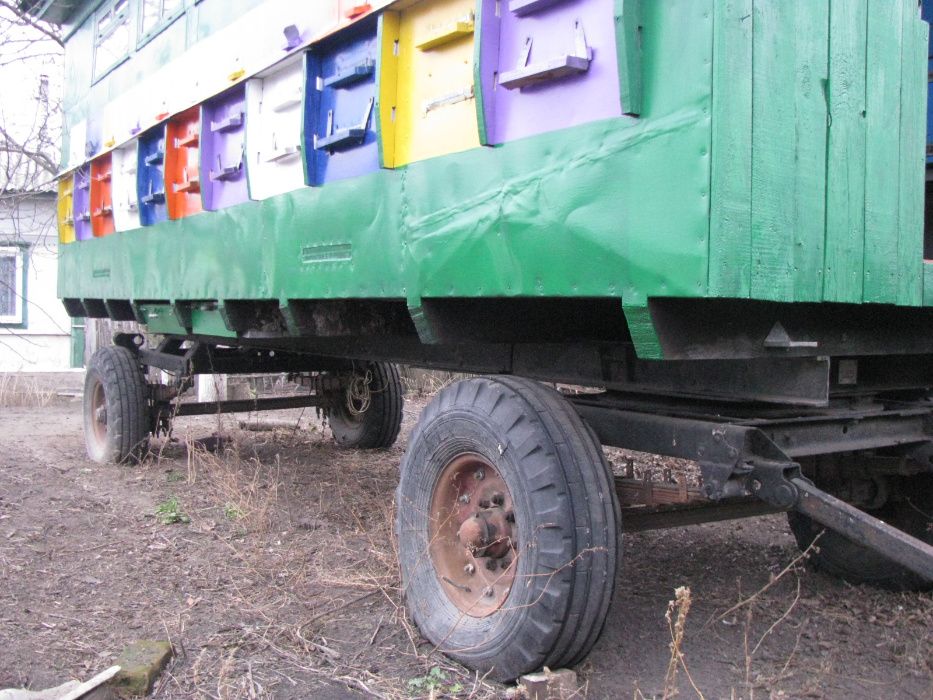 Бджолопавільйон, пасіка на колесах.