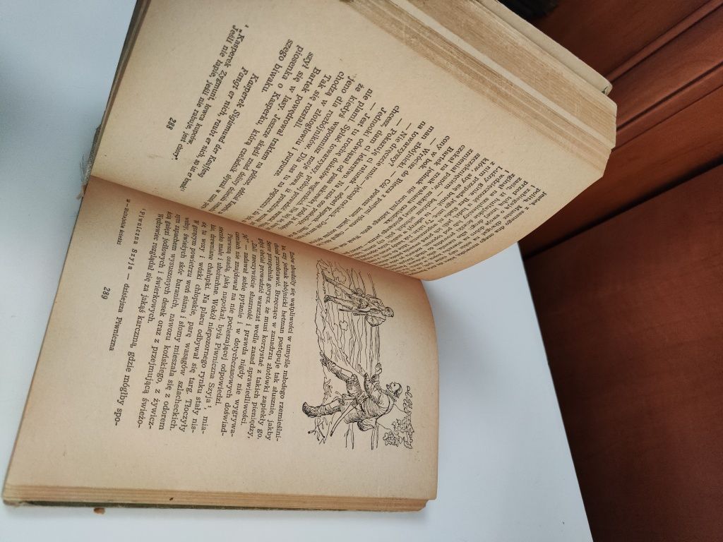 Hultajskie ścieżki - Lucyna Sieciechowiczowa "x