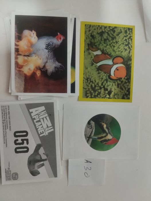 A4 Cromos de várias coleções