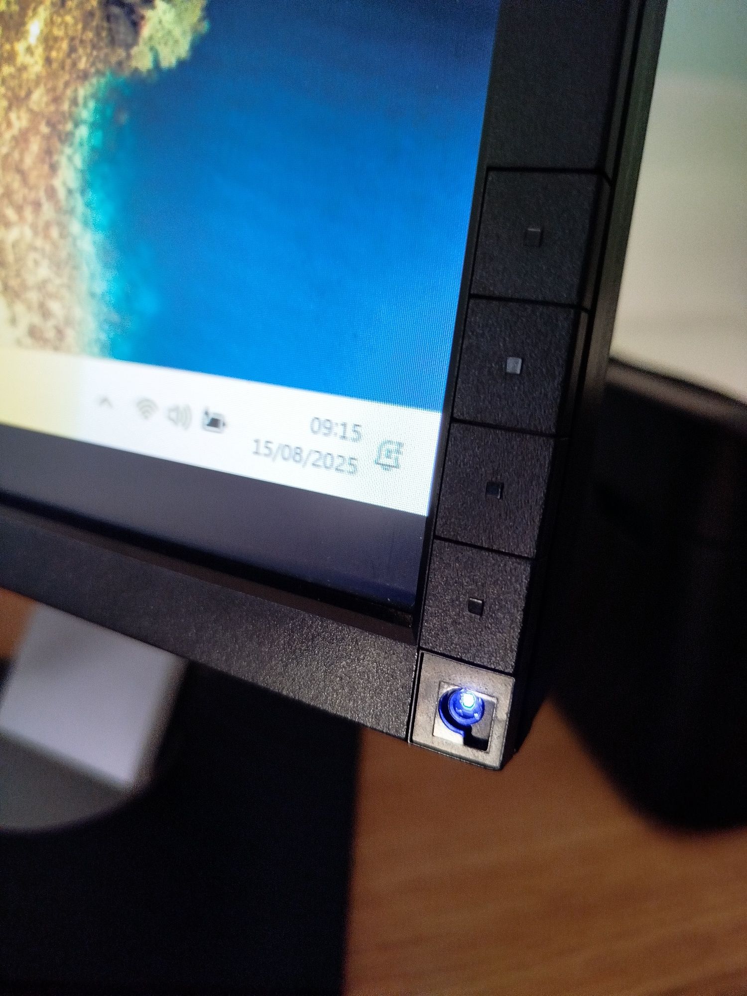 Monitor Dell P1911 19 polegadas