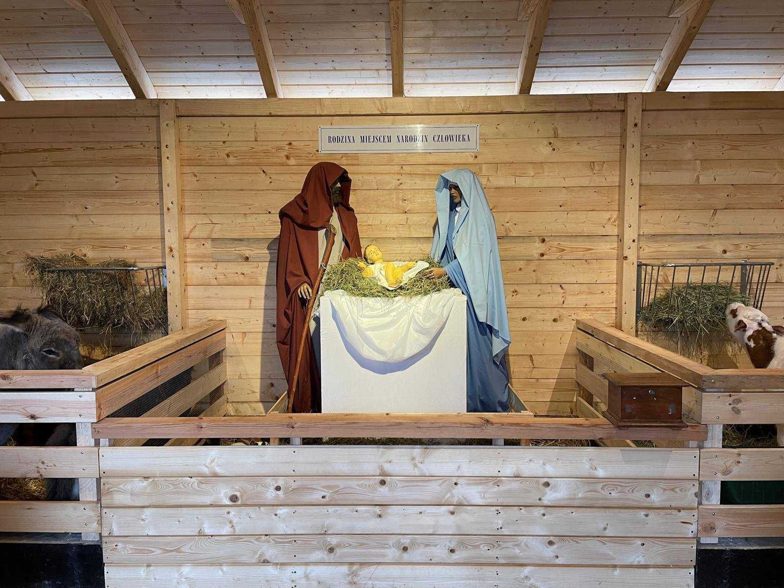 Paśnik drabina na siano dla owiec, koni, bydła DUŻY 85X45X45