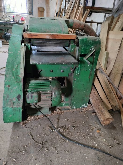 Grubościówka czteronożowa