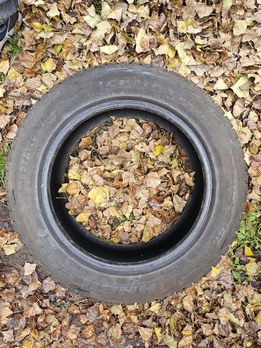 зимові шини Habilead Ice Max RW 501 2355 55 r18