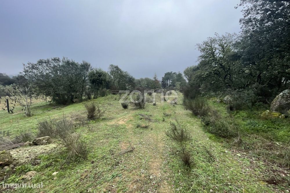 Terreno agrícola com 4 hectares, Vila Nova de Fôz Coa