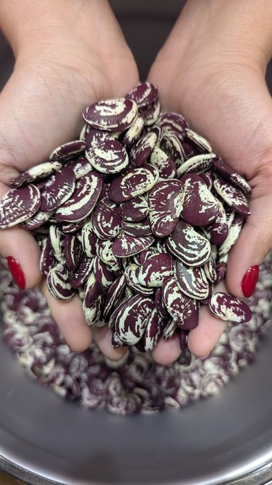 Квасоля Лімська Різдвяна