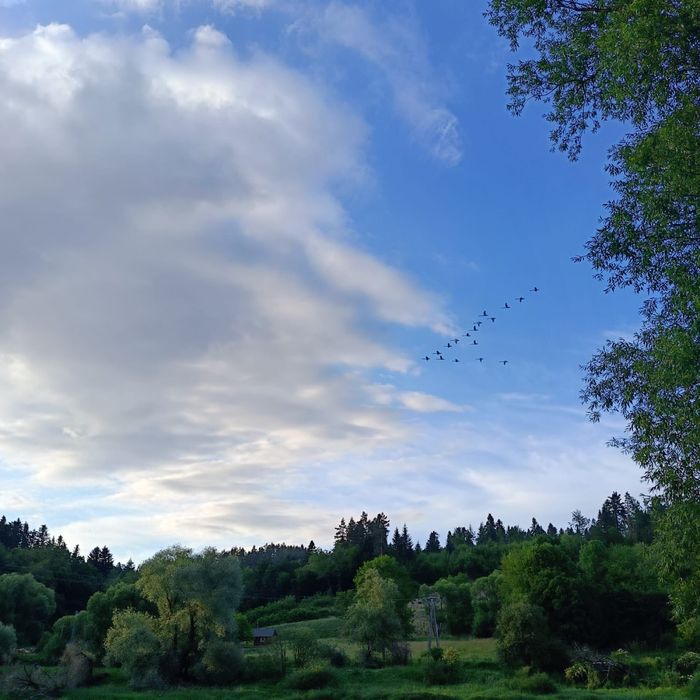 Całoroczny domek nad Sanem