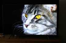 Telewizor Samsung 55 cali   Ultra HD 4K  Smart TV