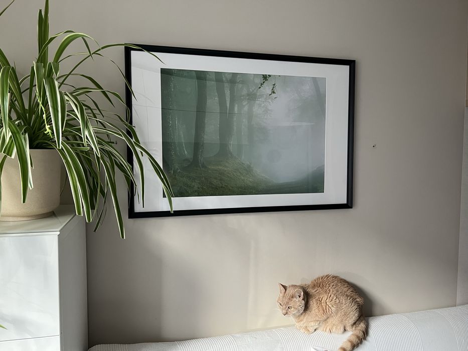 Plakat i ramka 61*91 IKEA KNOPPANG