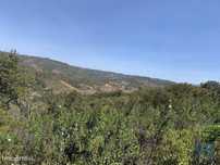 Terreno em Querença, Tôr e Benafim de 9960,00 m2