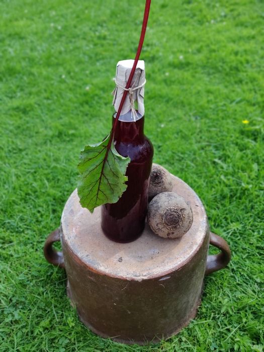 Sok z buraków kiszonych ZAKWAS