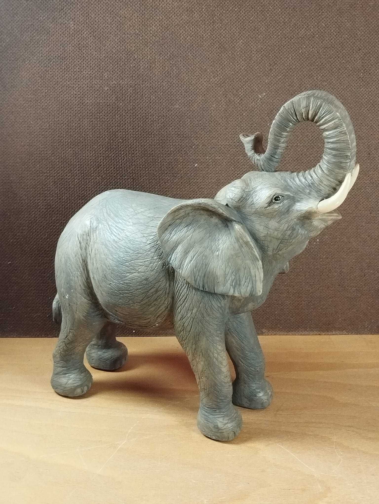 Elefante com Grande Detalhe